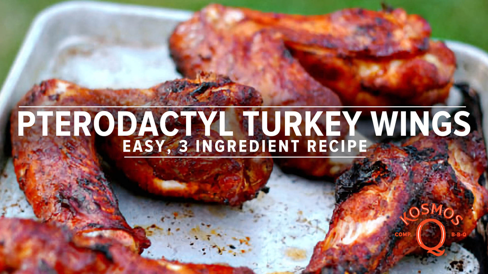 "Pterodactyl" Turkey Wings!